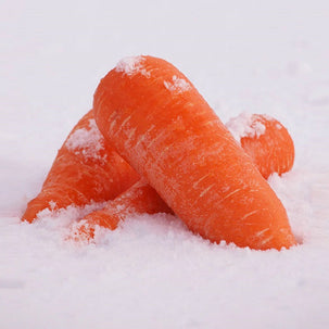 フルーティな甘み「ふかうら雪人参」
