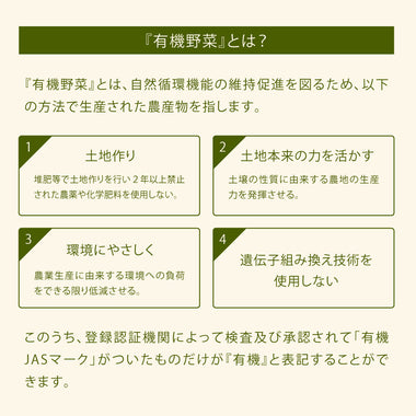 有機ジンジャーのキーマカレー