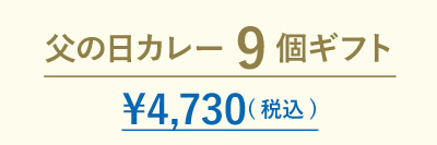 父の日カレー9個ギフト