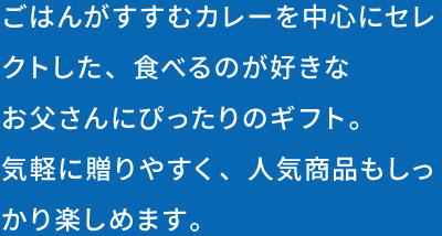 父の日カレー5個ギフト