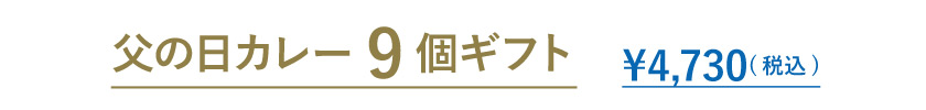 父の日カレー9個ギフト