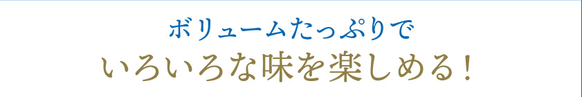 父の日カレー9個ギフト