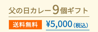 父の日カレー9個ギフト