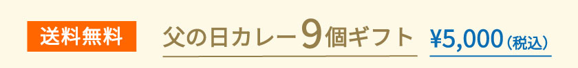 父の日カレー9個ギフト